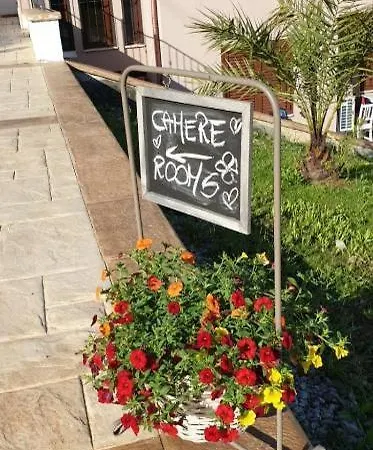 Stella Del Cilento Di Anna Botti Agropoli